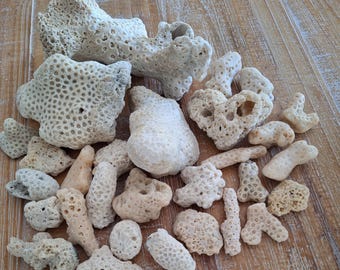 30 Coral Pieces/ Bulk / Crafts