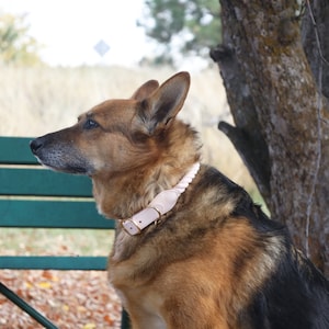 Handmade Light Pink Rope Dog Collar - Climbing Rope Collar for Dogs - Real Leather Dog Collar - Twisted Rope Collar for Dogs - Puppysentials