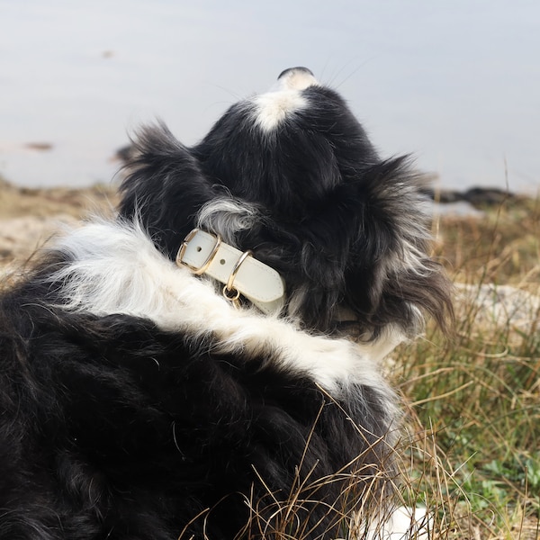 Cremeweißes Seil Hundehalsband - Kletterseil Halsband für Hunde - Echtleder Hundehalsband - Handgefertigtes Twisted Rope Hundehalsband von Puppystials
