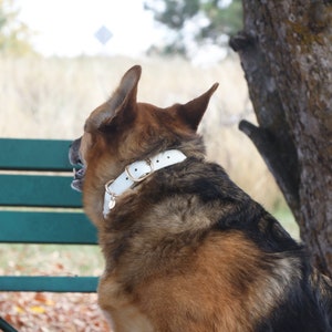 Cremeweißes Hundehalsband von Puppystial | Halsband aus handgefärbtem Baumwollseil für Mittelgroße und Große Hunde | Kostenlose Geschenktasche inklusive