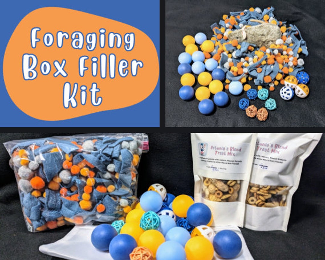 Foraging Dig Box Filler Kit for Rats and Small Pets Fun Etsy