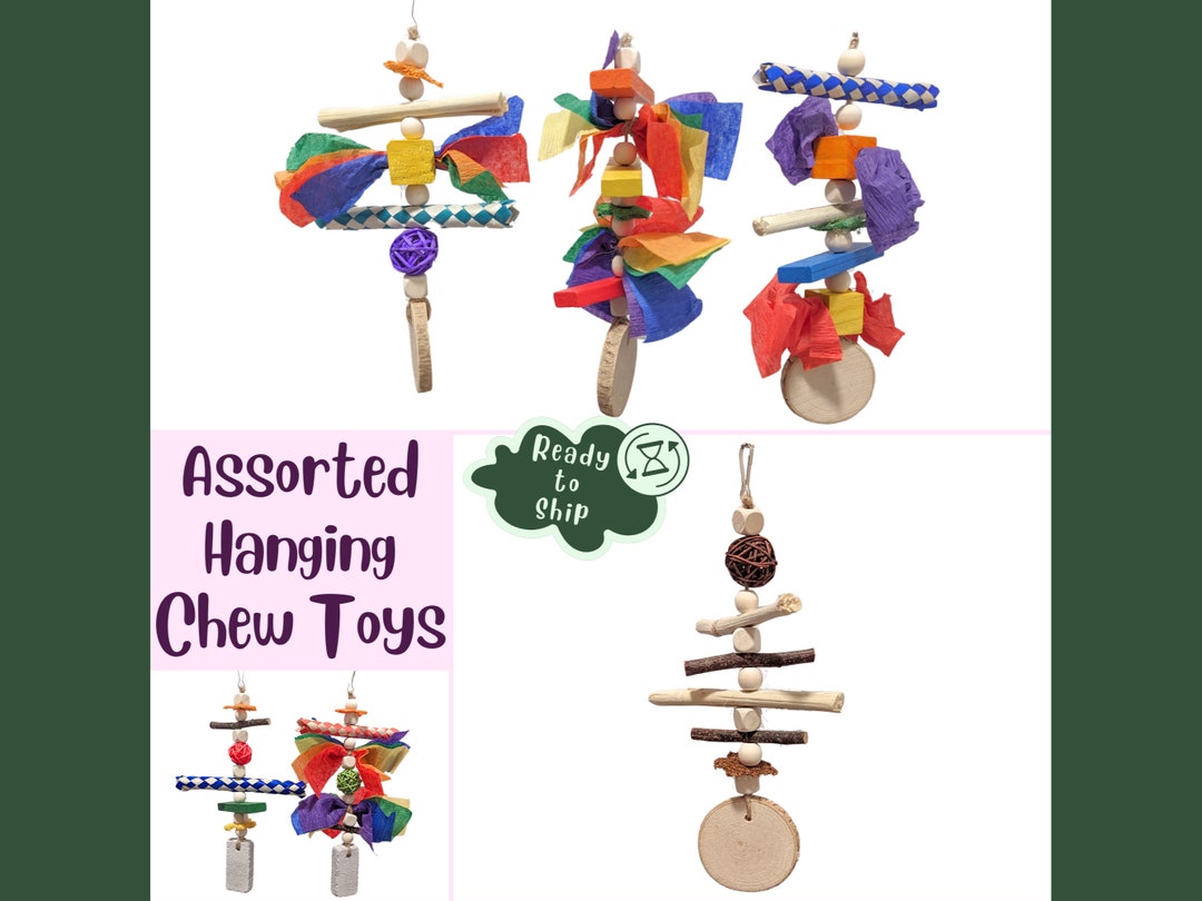 Assorted Hanging Chew Toys for Rats and Small Animals, 10 Fun Colorful