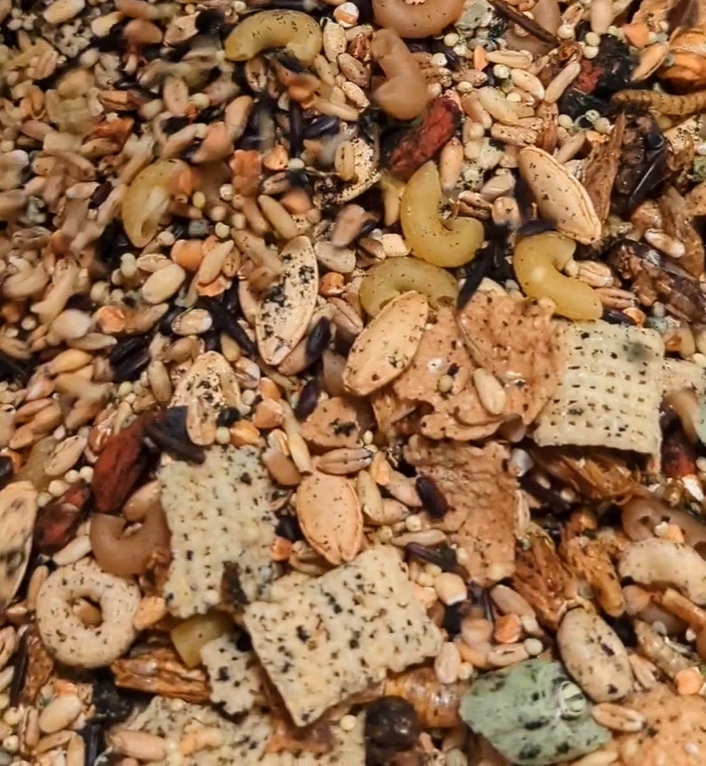 Shunamite Rat Food Quality Ingredient Complete Diet Etsy