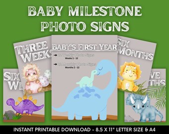 24 Unique PRINTABLE Baby Milestone Photo Signs, 8.5x11" Letter Size, Instant Digital Download, Baby's First Year, Dinosaur