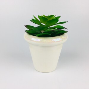 May include: A small, cream-coloured ceramic pot with an iridescent rim, containing a bright green succulent plant. The plant has multiple layers of green leaves with reddish tips. The pot is a simple, elegant design, suitable for a desk or windowsill.