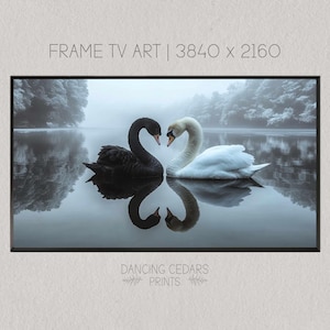 Black and White Swans Digital Art for Samsung Frame TV - Elegant Wildlife Reflection Artwork