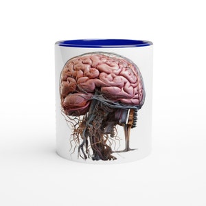 Può includere: Tazza da caffè bianca con bordo blu. La tazza presenta un'illustrazione anatomica dettagliata di un cervello umano con nervi e vasi sanguigni visibili.