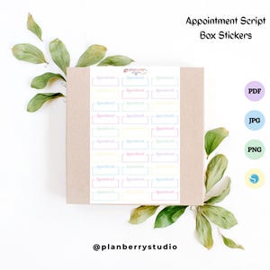 Peut inclure: Une boîte d'autocollants de script de rendez-vous avec des cadres aux couleurs pastel et le mot "Appointment" à l'intérieur. La boîte est entourée de feuilles vertes et le texte "Appointment Script Box Stickers" est en haut.