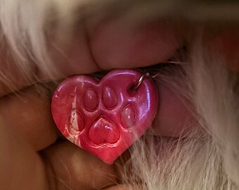 Polymer Clay Pet Tag