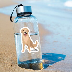 K&ouml;nnte beinhalten: Eine klare Wasserflasche mit schwarzem Deckel und einem Aufkleber mit einem Golden Retriever Hund mit dem Namen "MAXWELL" darauf.