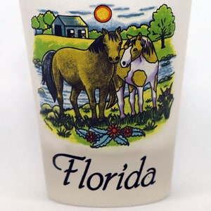 Florida Horses Frosted Collector&#39;s Souvenir Shot Glass