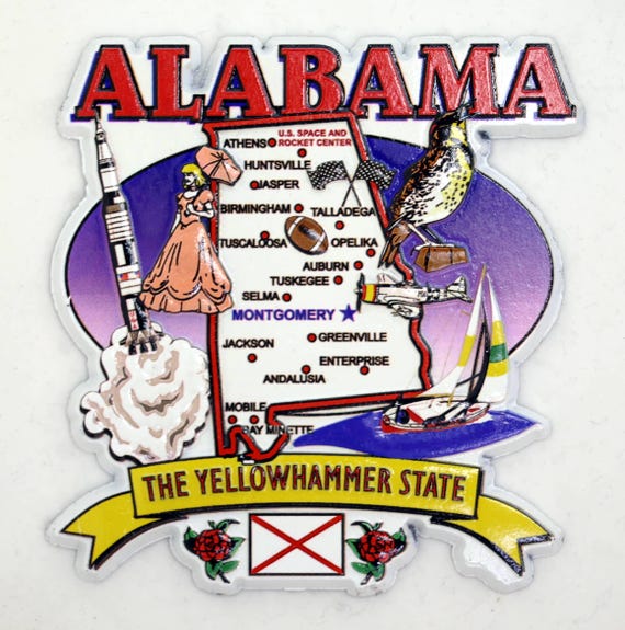 Florida Mappa Dello Stato E Punti Di Riferimento Frigorifero Collage - Foto 10