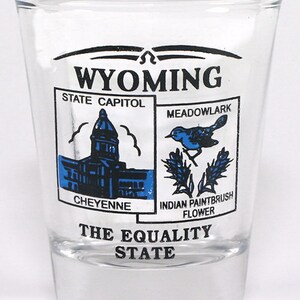 Wyoming State Scenery Blue New Shot Glass
