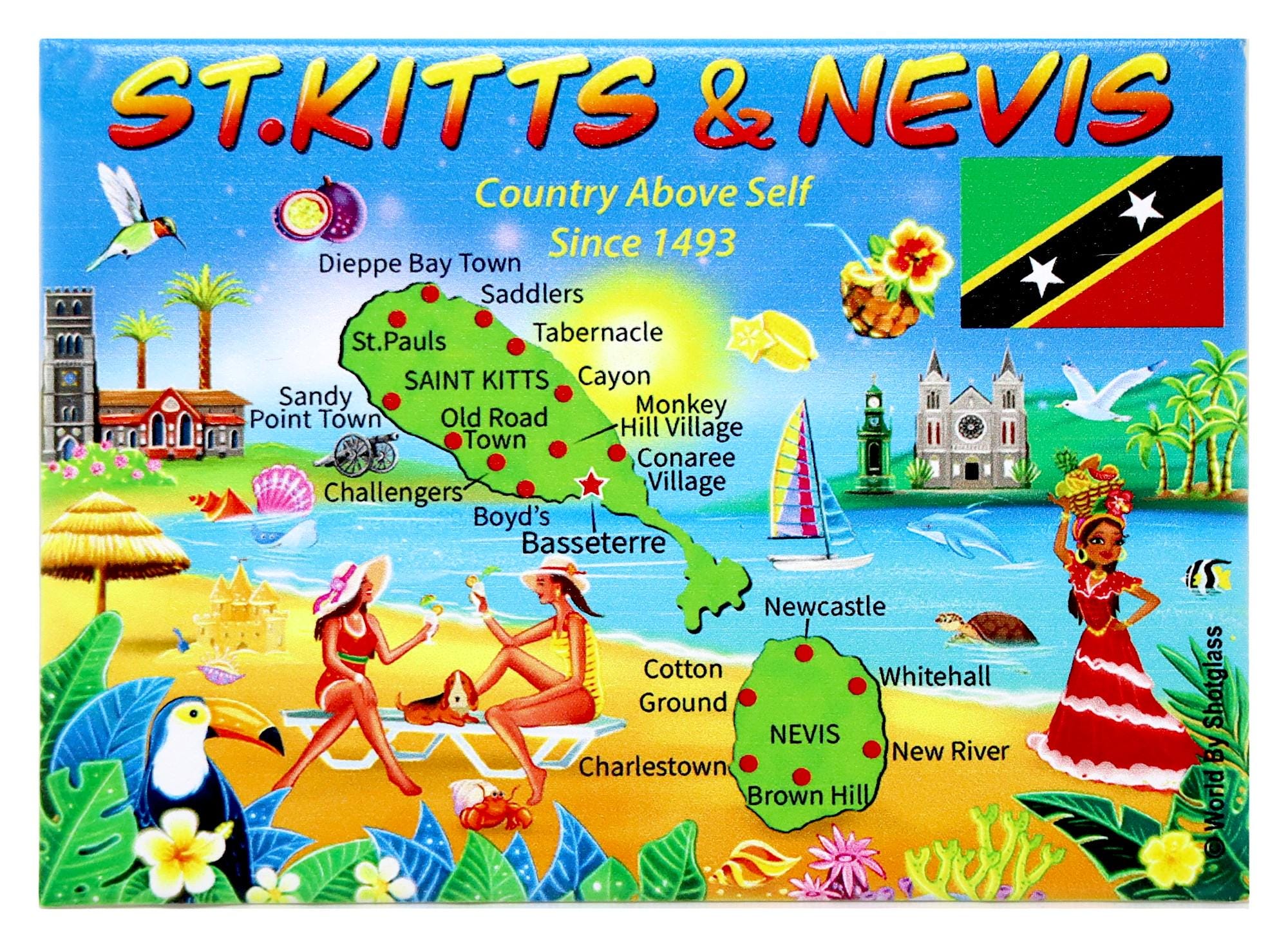 Souvenir di St. Kitts e Nevis, magnete caraibico, souvenir di viaggio