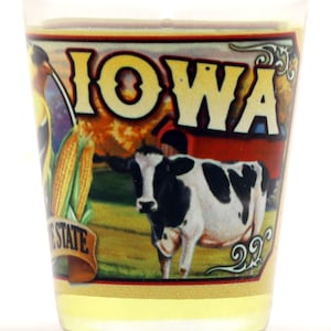 Iowa State Mural Shot Glass