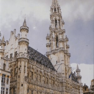 Brussels Belgium Fridge Collector's Souvenir Magnet 2.5 inches X 3.5 inches