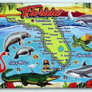 Florida kaart nieuwe pop-art magneet 2,5 "X 3,5