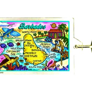 Barbados kaart rechthoekige acryl souvenir sleutelhanger 2,5 x 1,5 inch