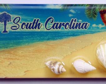 South Carolina Palm Shell Mdf Magnet 4.25" X 2" X 0.25