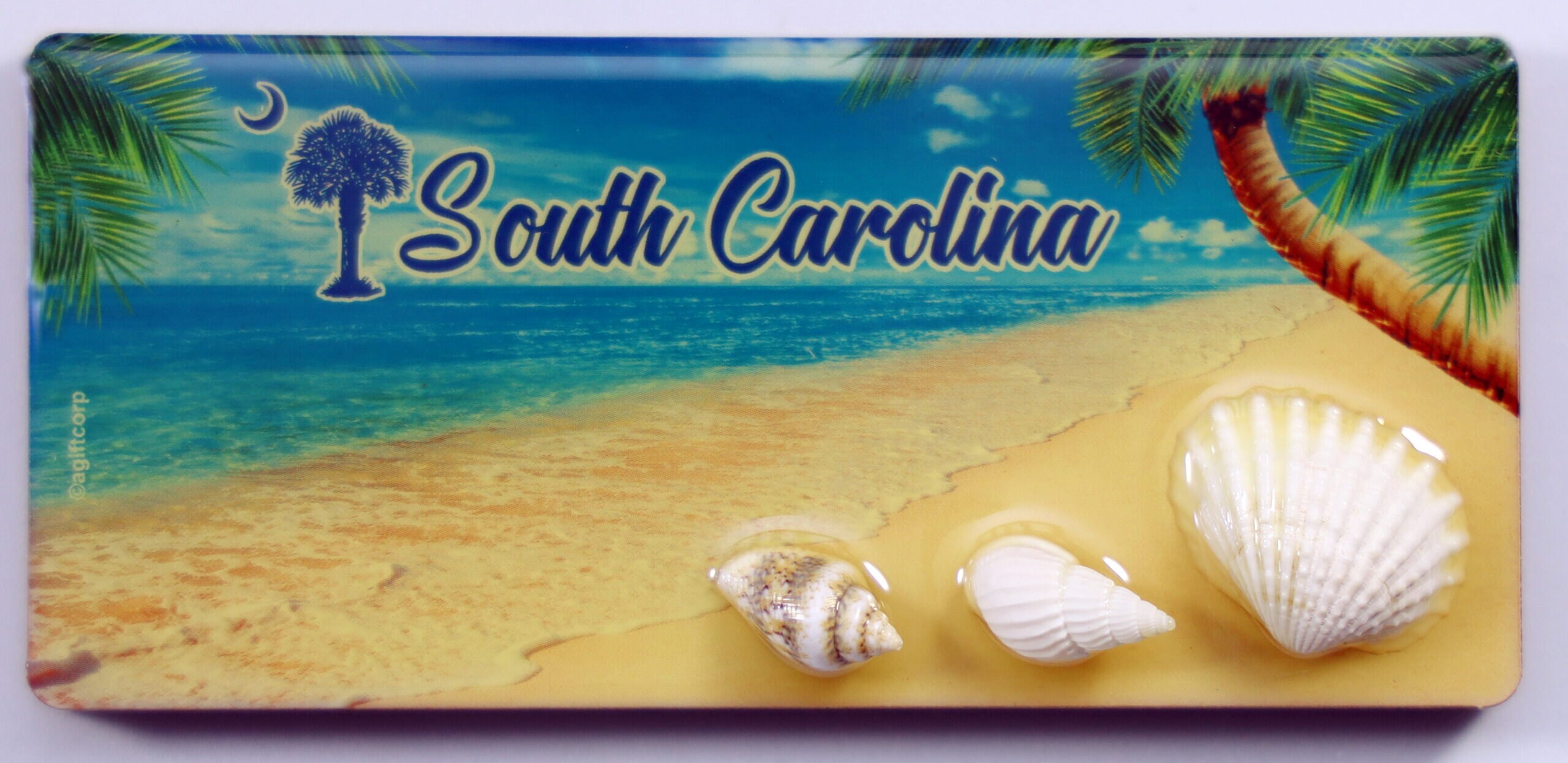 Adesivo di design E magnete di Hilton Head Island, Carolina del Sud / Adesivo impermeabile in vinile / Magnete della Carolina del Sud - Italia