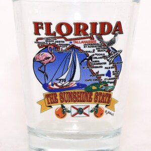 Florida State Elements Map Shot Glass