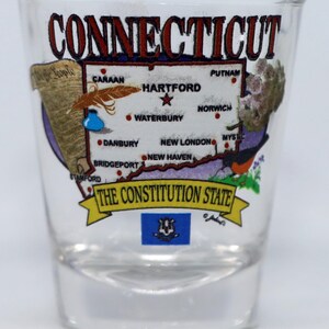 Connecticut State Elements Map Shot Glass