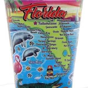 Shotglas Florida Scene In en Out