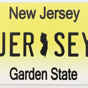 New Jersey License Plate Fridge Collector&#39;s Souvenir Magnet 2.5&quot; X 3.5