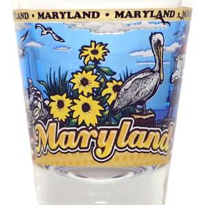 Maryland State Wraparound Shot Glass