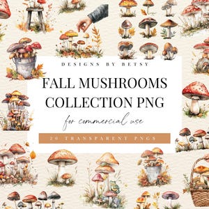 Bundle de cliparts aquarelle champignons sauvages, pack de cliparts champignons sauvages, champignons des bois PNG, forêt champignons toxiques PNG, téléchargement immédiat