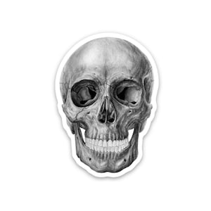 Skull Sticker Monochrome, 1.5x2 inches