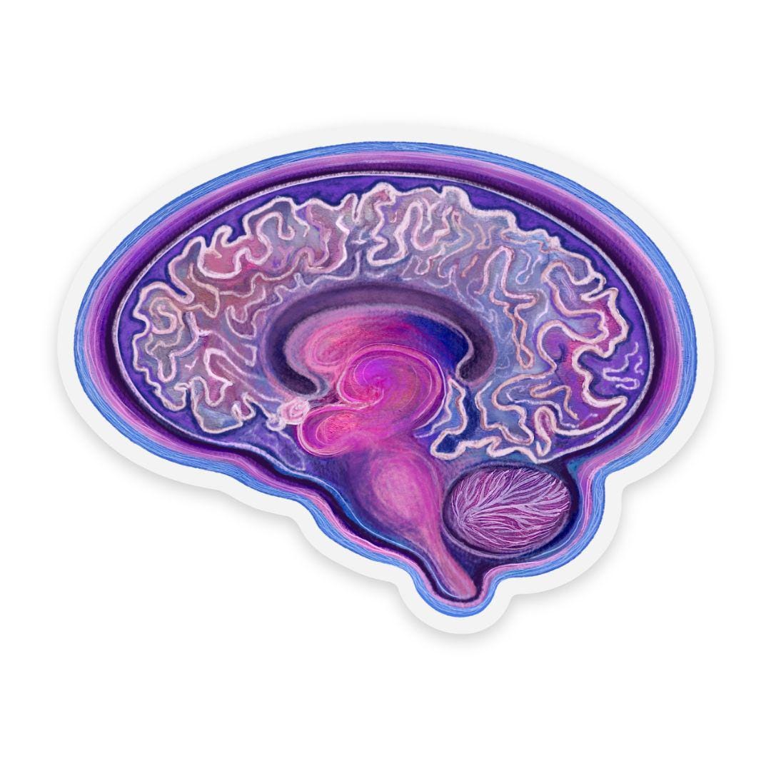 MRI Brain Sticker, 2x2.5 Inches - Etsy