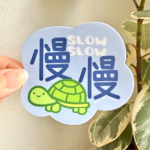 Slow Slow Vinyl Sticker