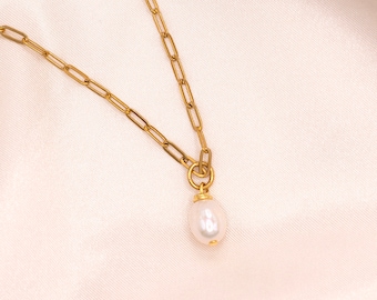 Freshwater Pearl Paperclip Necklace, Gold-Plated Stainless Steel Chain