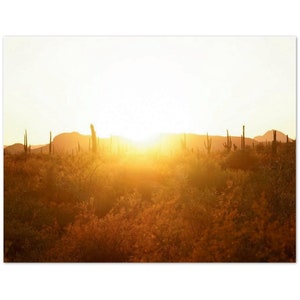 DESERT SUNSET (Paquete de 10 postales) - Monumento Nacional Organ Pipe Cactus, Arizona, Fotografía de la naturaleza, Tarjetas en blanco