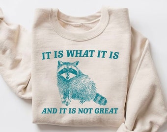 It Is What It Is And It Is Not Great Sweatshirt, Mental Health Sweatshirt, Funny Sweatshirt Women, Meme Sweatshirt, Raccoon Shirt, Gag Tee