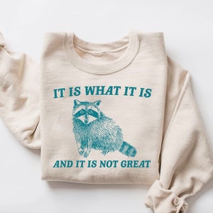 It Is What It Is And It Is Not Great Sweatshirt, Mental Health Sweatshirt, Funny Sweatshirt Women, Meme Sweatshirt, Raccoon Shirt, Gag Tee