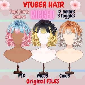 Activo de cabello Vtuber con rizos Ombre Toni Rigged: 12 colores (archivos PSD, Moc3, Cmo3).