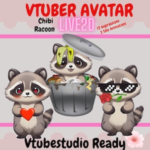 Chibi Racoon Live2d Vtuber Avatar, Full Body/Fully Rigged  for VTube Studio -Instant Download! | Live2D Rigged, Premade Vtuber model rigged