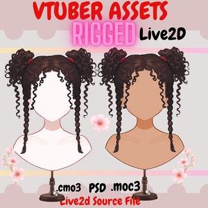 Vtuber Asset - Rigged vtuber Hair| live2d asset| Transparent Background PNG File, Vtuber  Vtuber png asset, Kawaii , Psd, moc3, cmo3