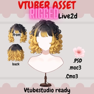 Kawaii Vtuber Asset - Opgetuigd vtuber-haar| live2d-activum| Transparant achtergrond PNG-bestand, Vtuber Vtuber png asset, manga, Psd, moc3, cmo3