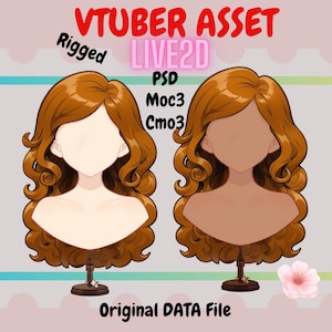 Rigged vtuber Hair Asset| GingerCurls, live2d asset| Transparent Background PNG File, Vtuber png asset, Kawaii asset , Psd, moc3, cmo3