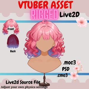 Vtuber Asset - Rigged vtuber Hair| live2d asset| Transparent Background PNG File, Vtuber  Vtuber png asset, Kawaii , Psd, moc3, cmo3