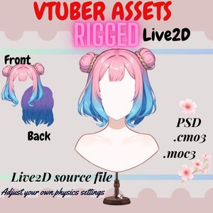 Vtuber Asset - Rigged vtuber Hair| Ombre Buns| live2d asset| Transparent Background PNG File, Vtuber  Vtuber png asset