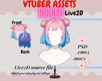 Vtuber Asset - Rigged vtuber Hair| Ombre Buns| live2d asset| Transparent Background PNG File, Vtuber  Vtuber png asset