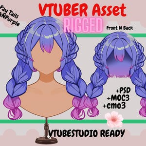 Kawaii Vtuber Asset - Rigged vtuber Braids| live2d asset| Transparent Background PNG File Asset, Vtuber hair, Psd, moc3, cmo3, Vtuber Adopt