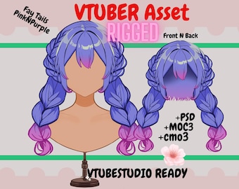 Opgetuigde Vtuber-vlechten: Live2D Hair Asset (PSD-, Moc3-, Cmo3-bestanden).
