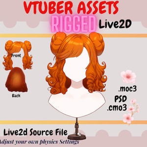 Vtuber Rigged Asset -  vtuber Hair| Orange Buns| live2d asset| Transparent Background PNG File, Vtuber  Vtuber png asset- Live2d Rig