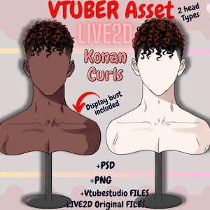 May include: Two digital illustrations of a bust with curly brown hair. The bust on the left has a tan skin tone and the bust on the right has a white skin tone. The text "VTUBER Asset 2 head Types LIVE2D Konan Curls Display bust included +PSD +PNG +Vtubestudio FILES LIVE2D Original FILES" is displayed below the busts.