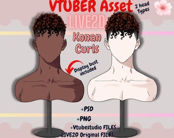 Vtuber-item mannelijk: Live2D-krullend haar (PSD, png, moc3, cmo3).